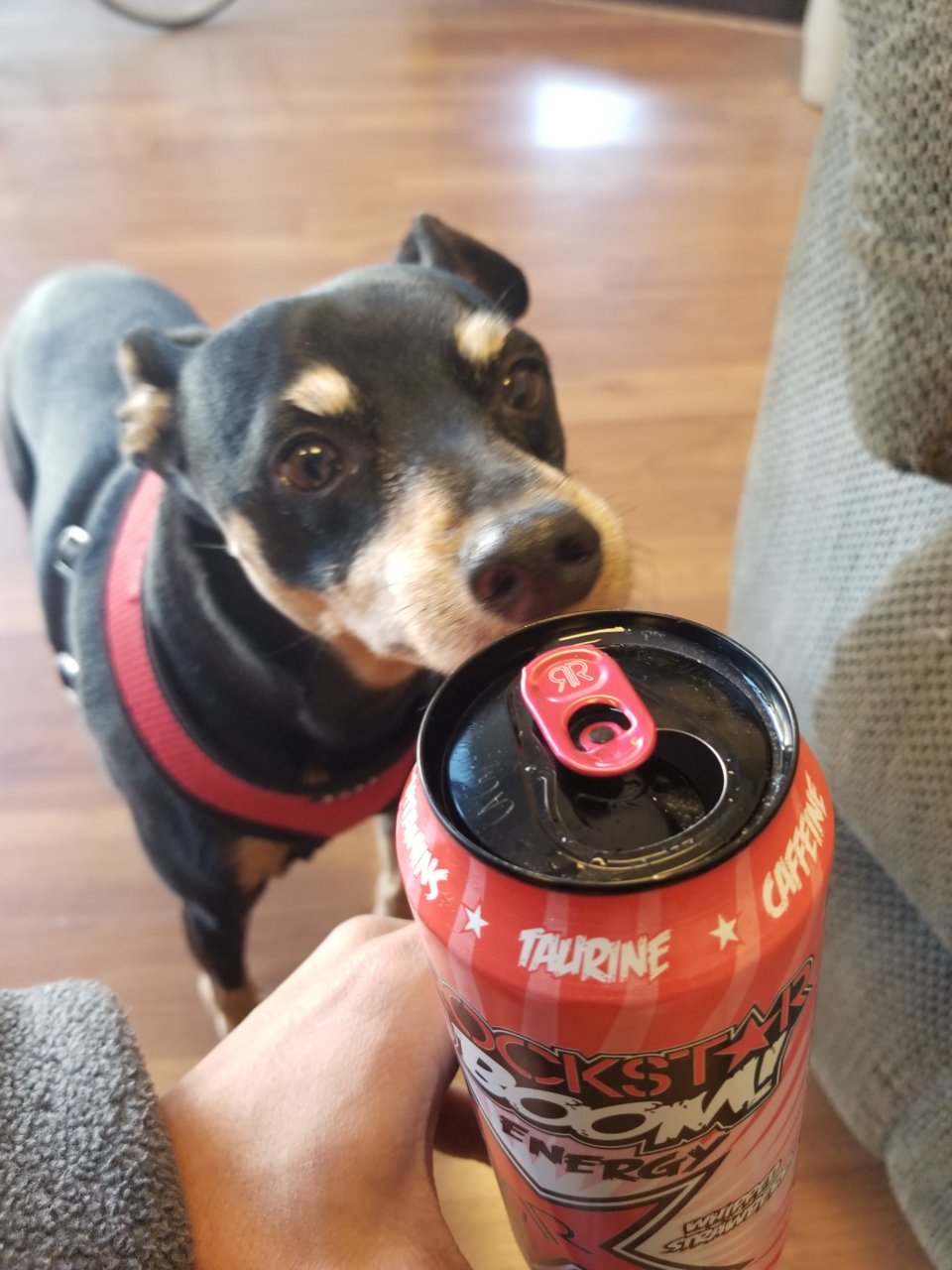 20181118_115839.jpg