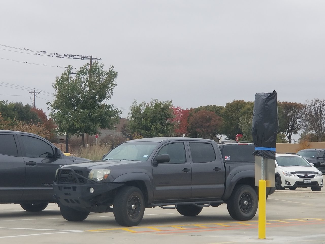 20181118_123443.jpg