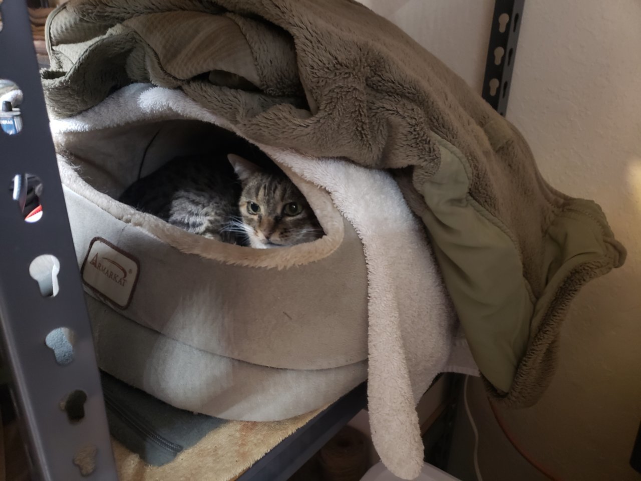 20181118_141635.jpg