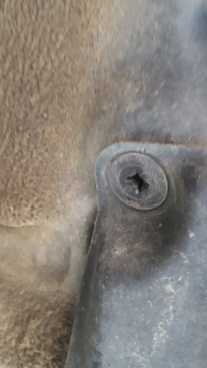 20181118_152944.jpg