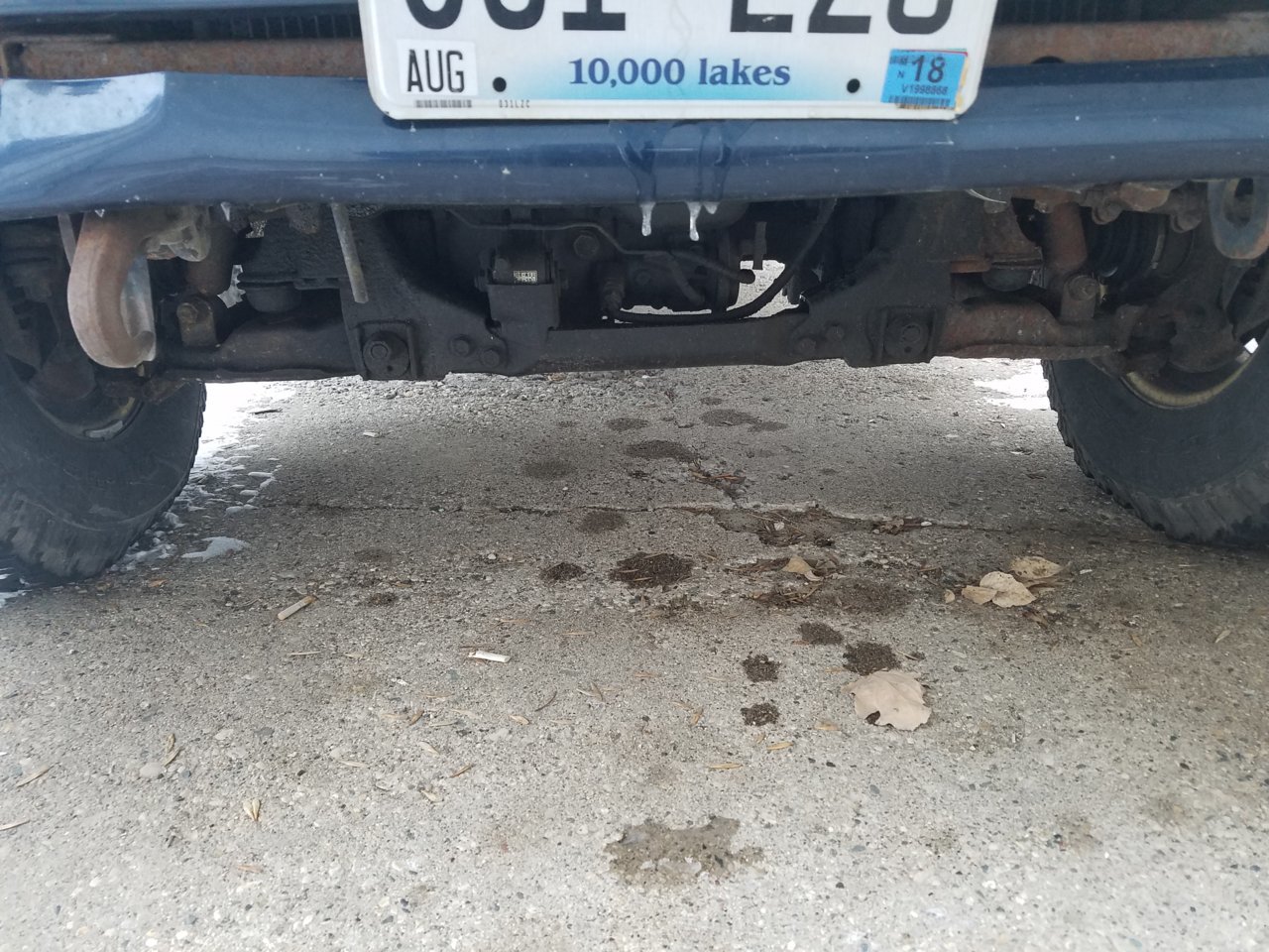 20181119_080930.jpg