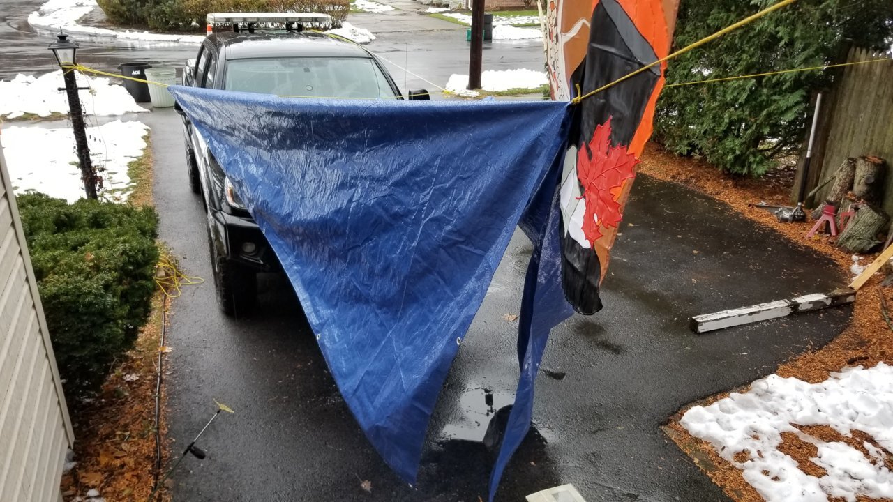20181119_105658.jpg