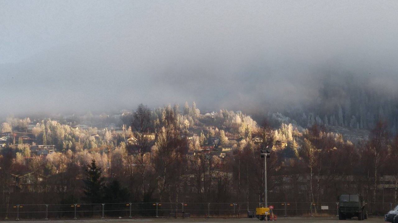 20181119_130346.jpg