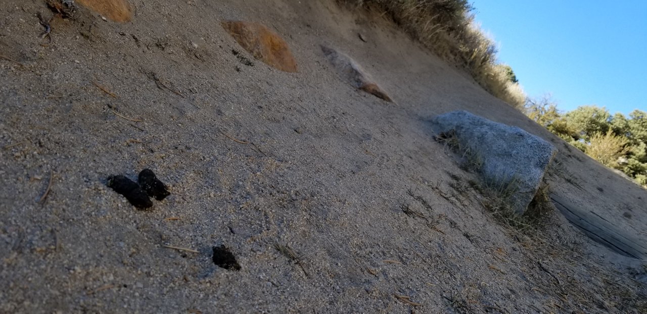 20181119_151317.jpg