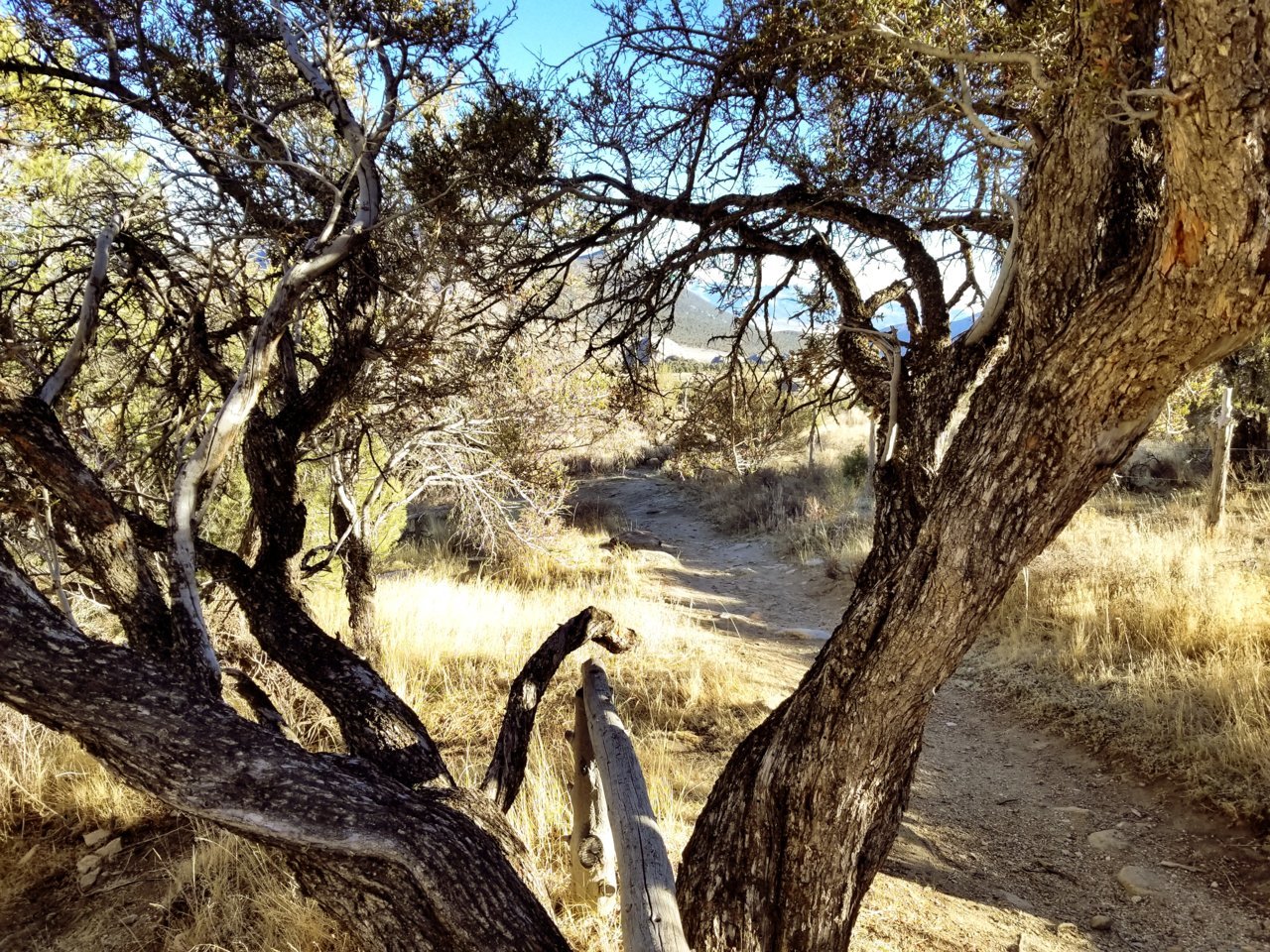 20181119_151411.jpg