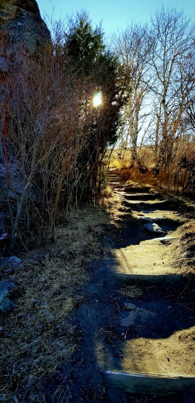 20181119_165819.jpg