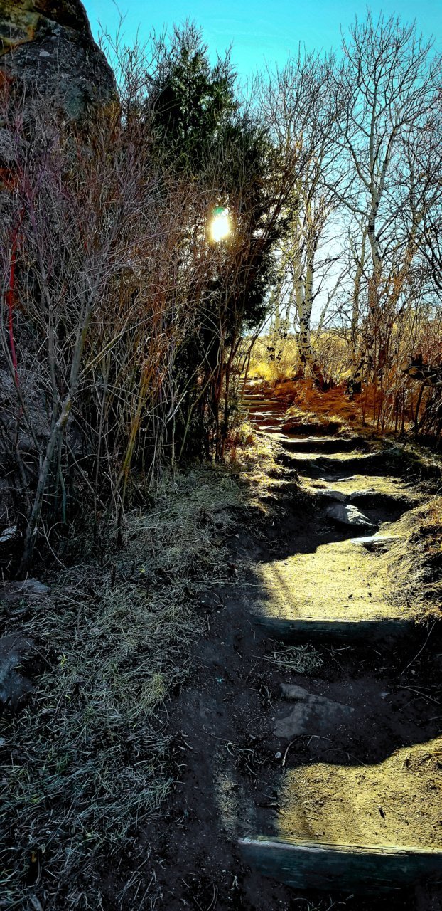 20181119_172216.jpg