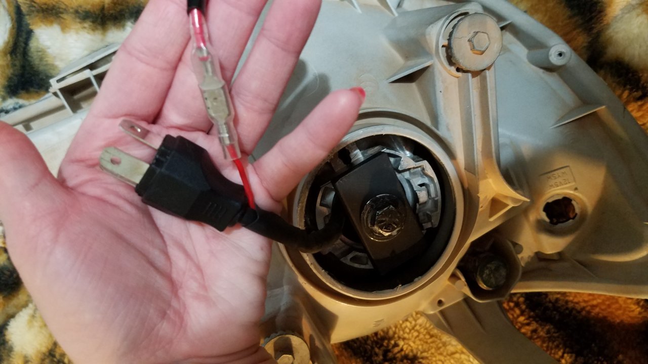20181120_071115.jpg