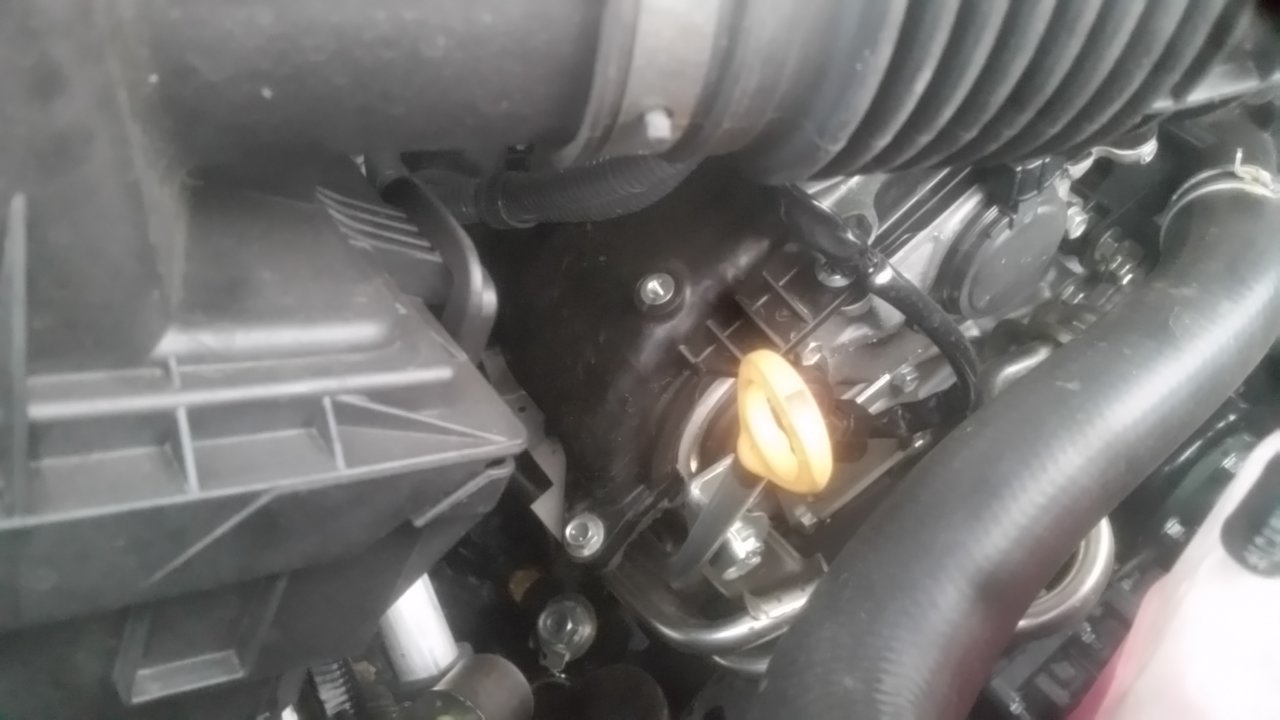 20181120_074635.jpg