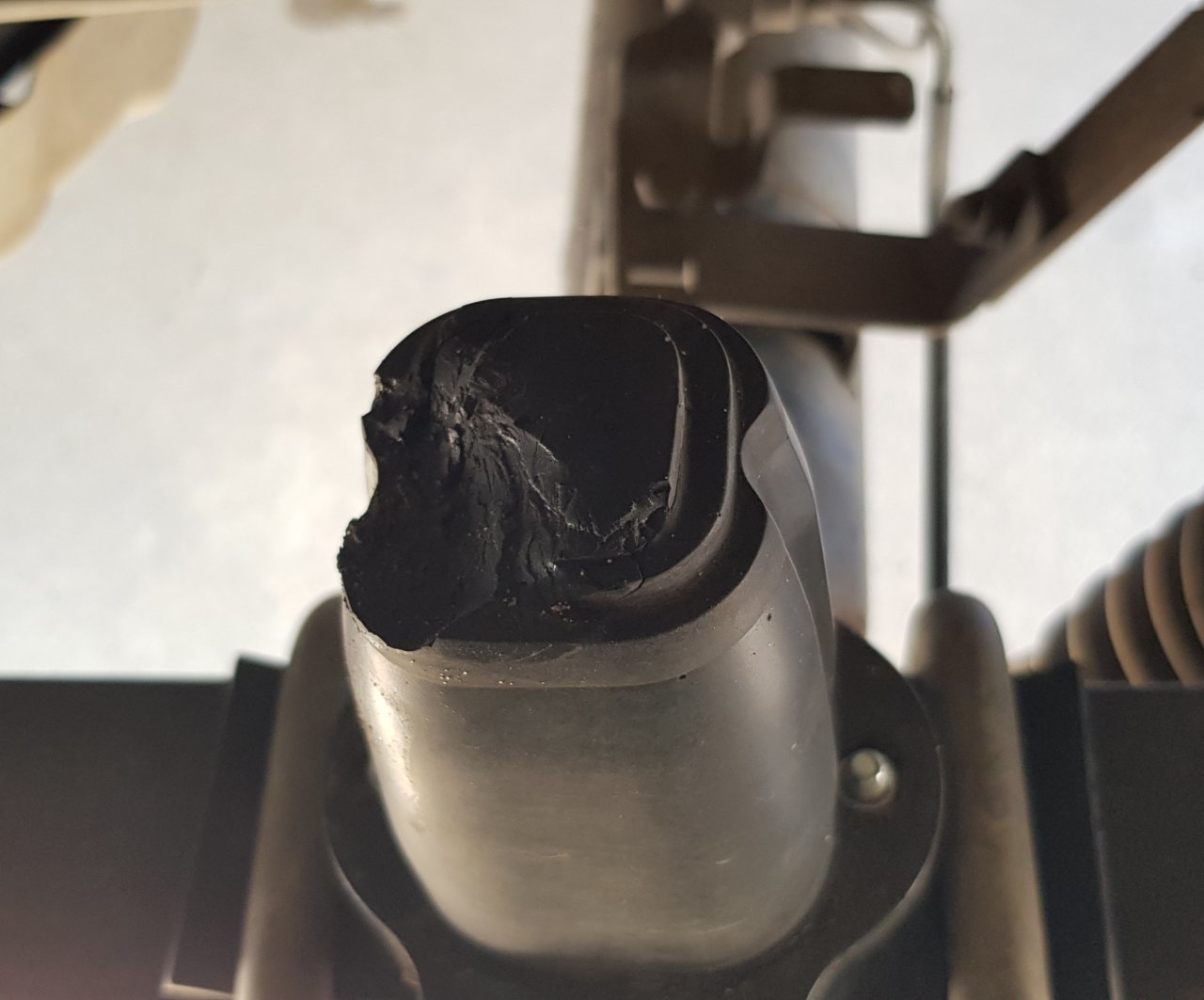 20181120_102750.jpg