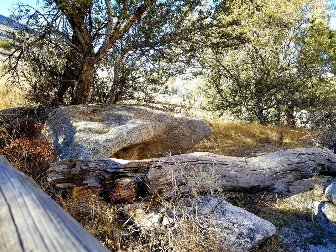20181120_161554.jpg