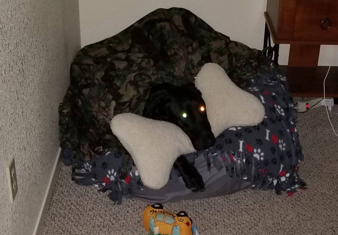 20181120_210834.jpg