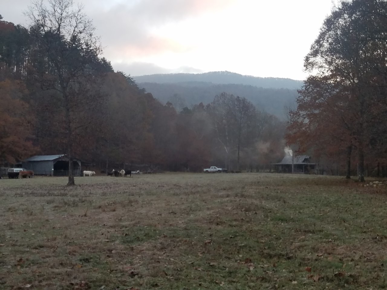 20181121_062810.jpg