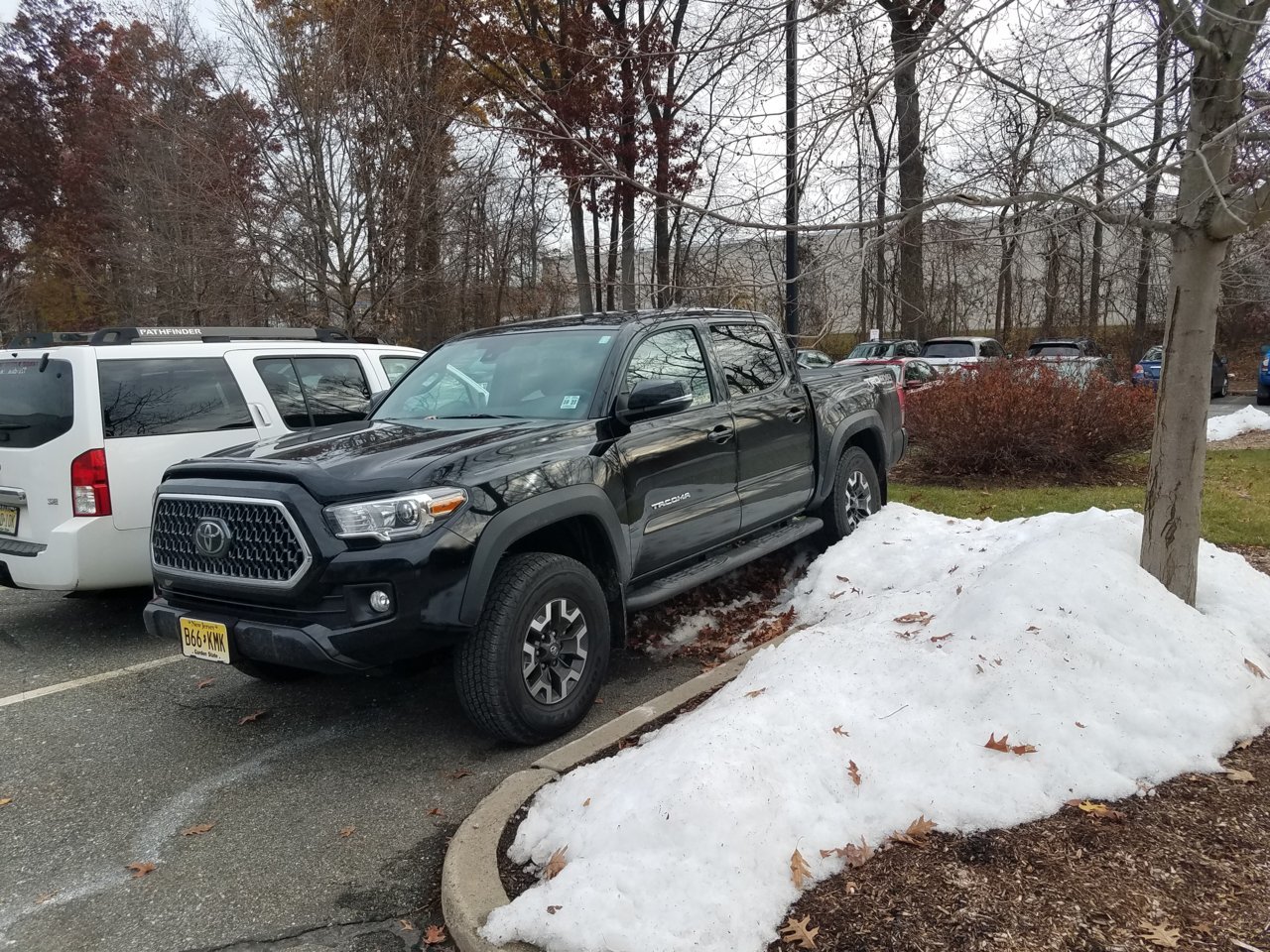 20181121_092635.jpg