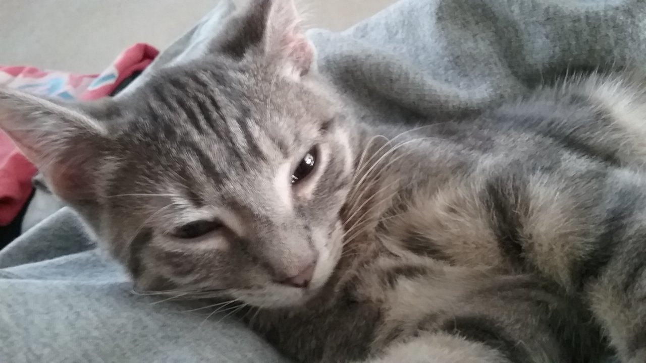 20181121_105231.jpg
