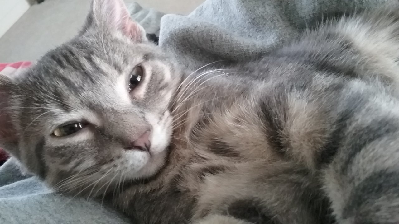 20181121_105259.jpg