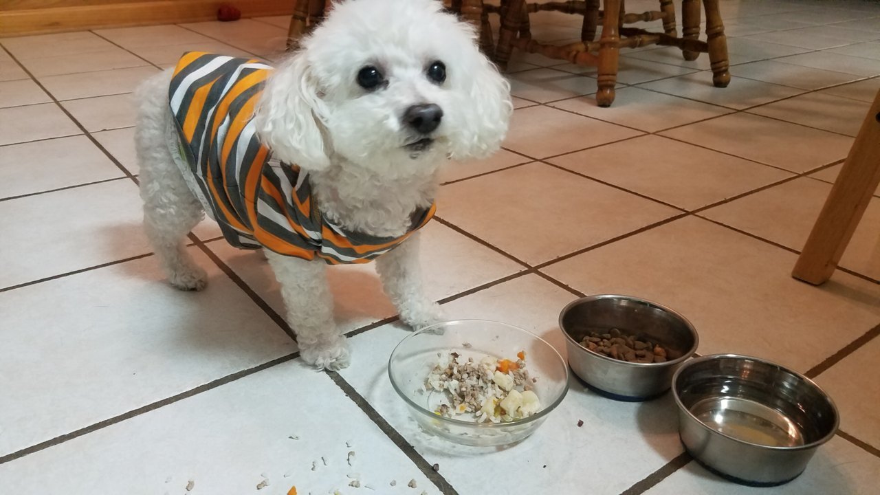 20181121_175532.jpg