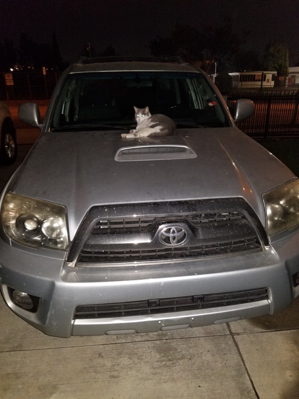 20181121_192147.jpg