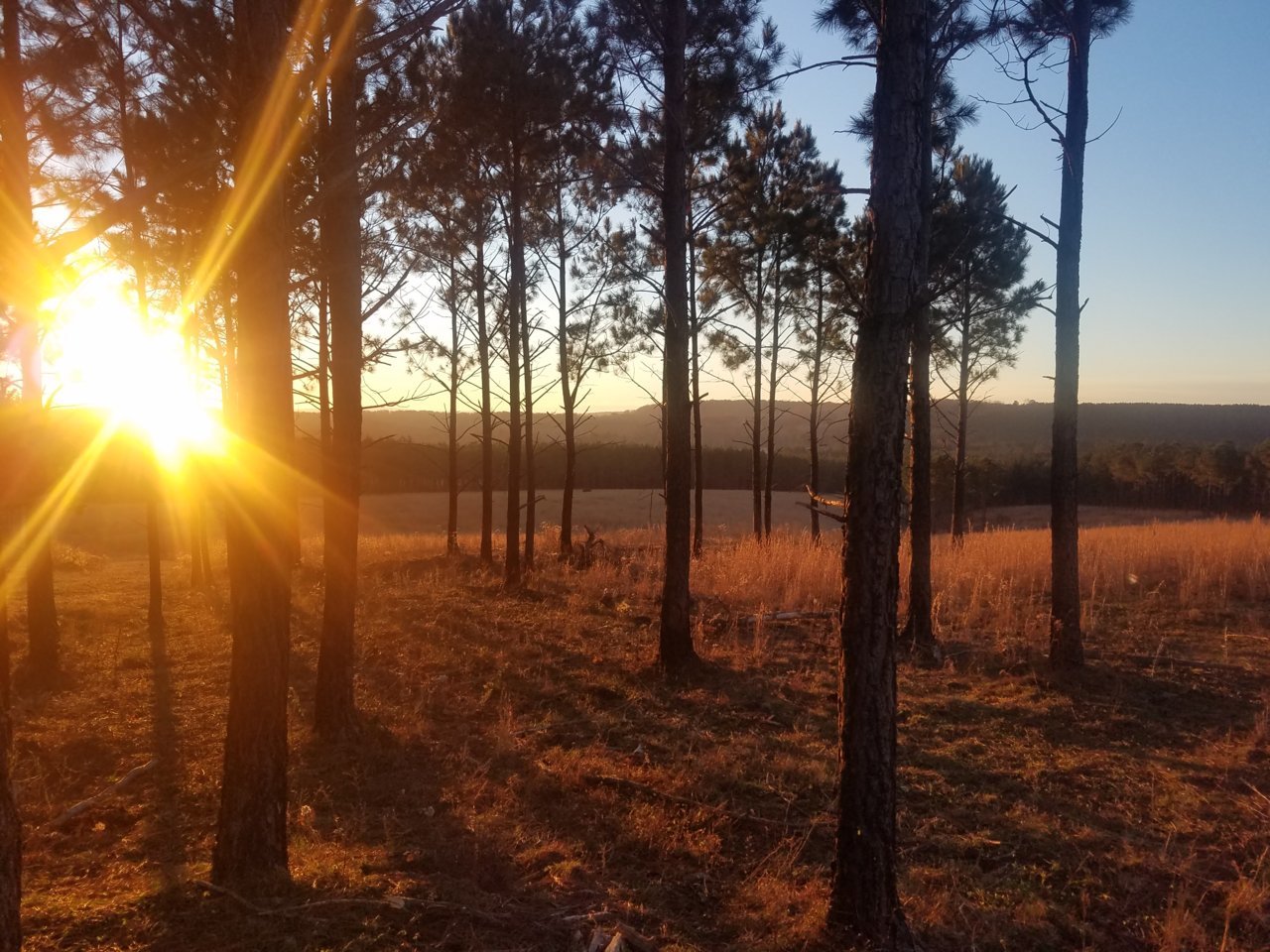 20181122_063353.jpg