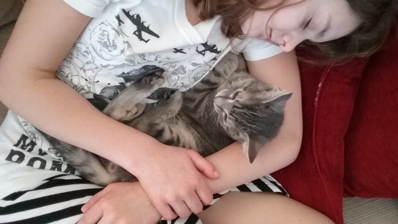 20181122_140257.jpg