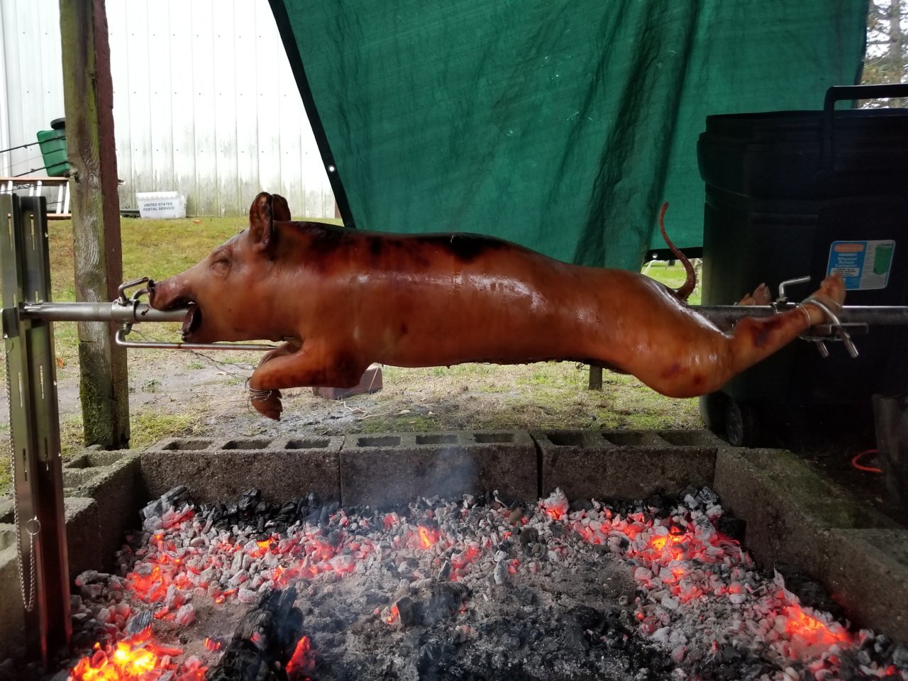 20181122_152303.jpg