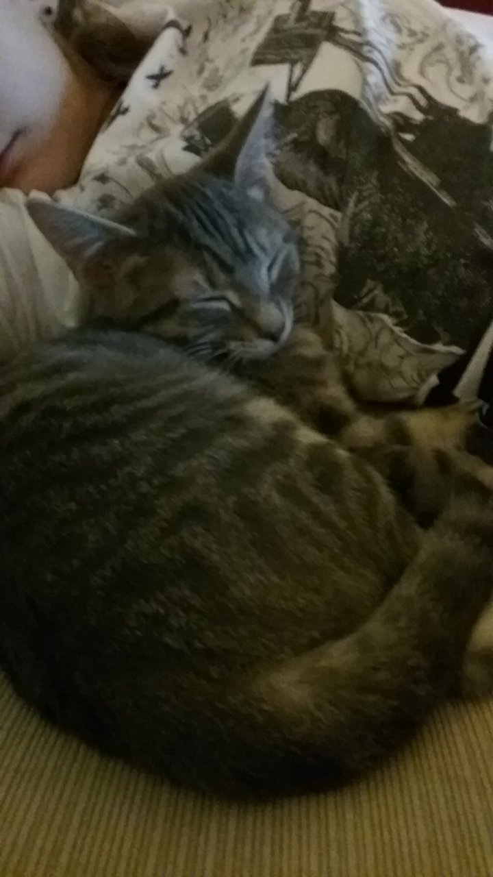 20181122_182328.jpg