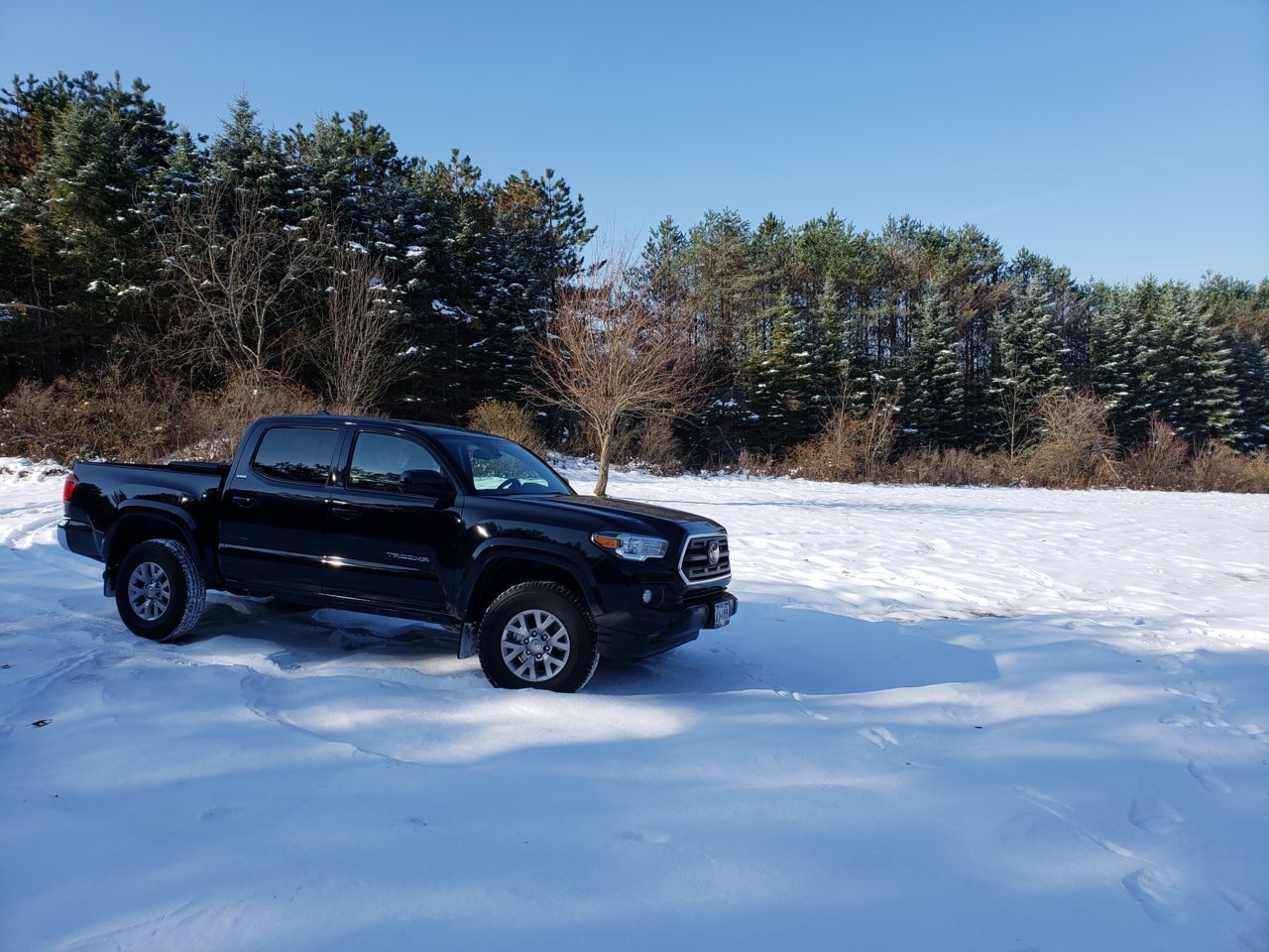 20181123_121501.jpg
