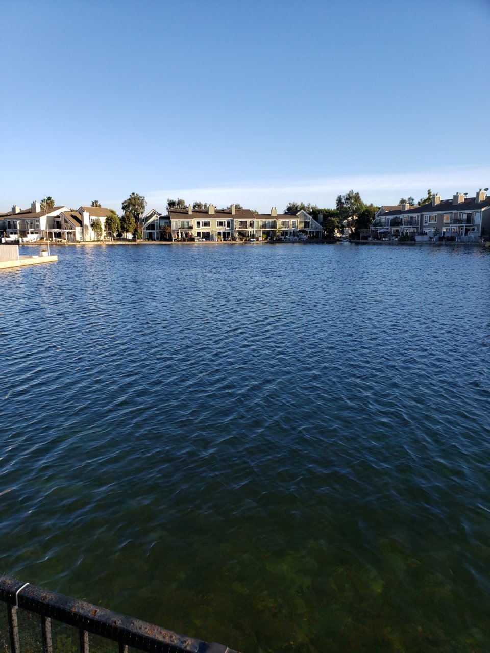 20181123_152919.jpg