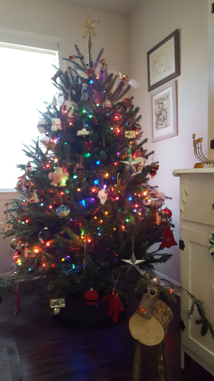 20181123_160018.jpg