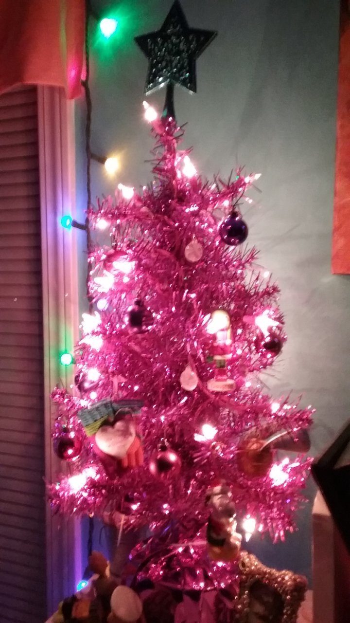 20181123_215134.jpg