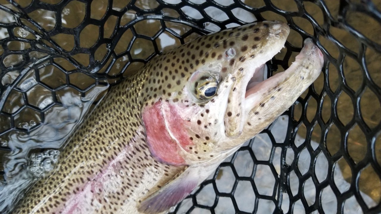 20181124_082125.jpg