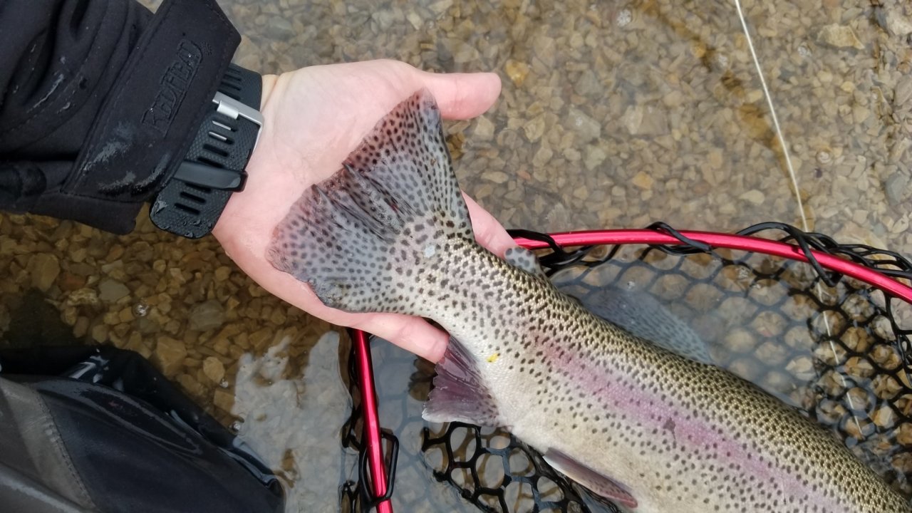 20181124_082235.jpg