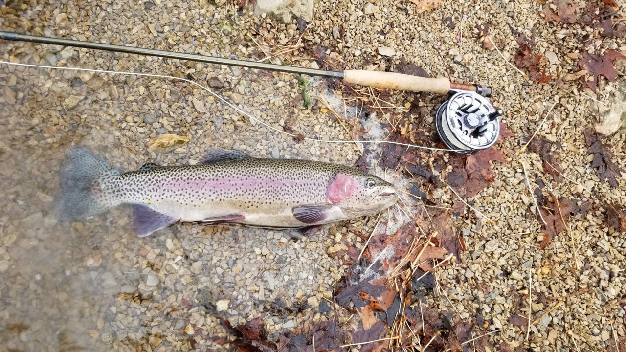 20181124_082310.jpg
