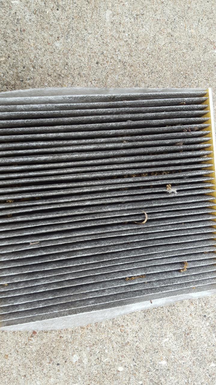20181124_120338.jpg