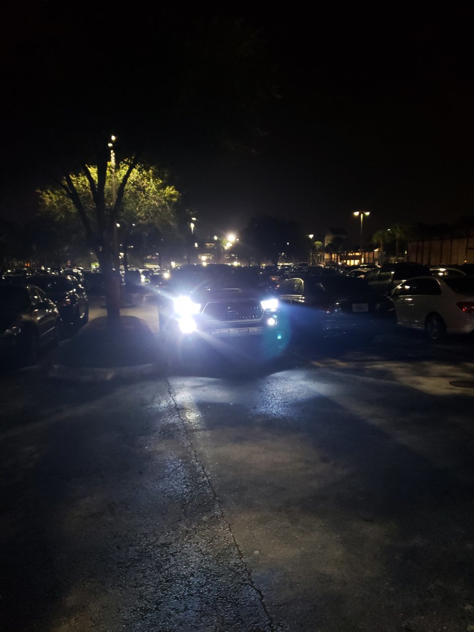 20181124_212950.jpg