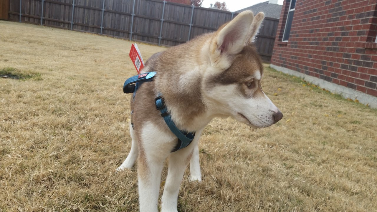 20181125_133829.jpg
