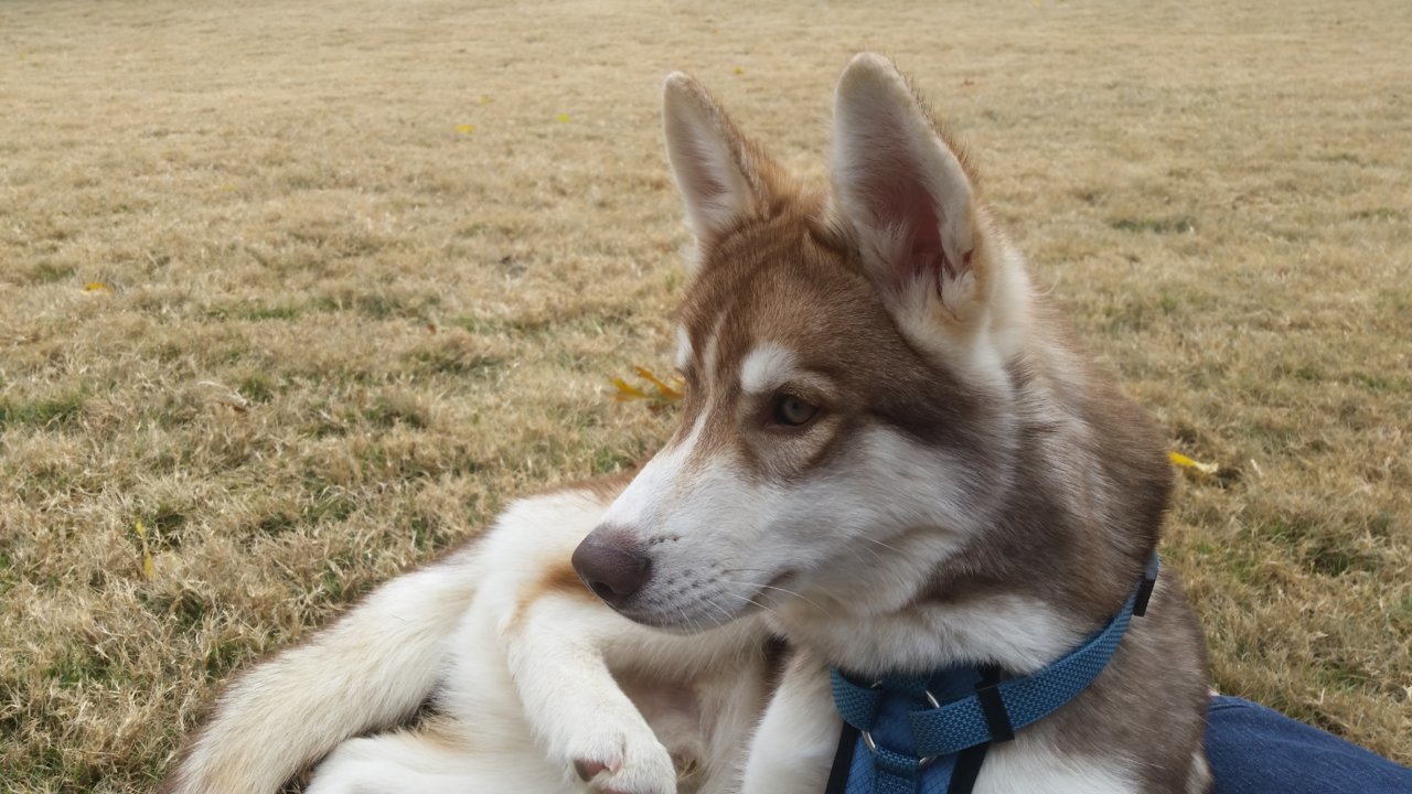 20181125_134146.jpg