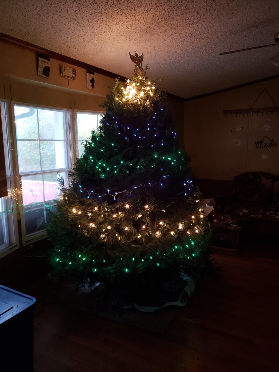 20181125_145759.jpg