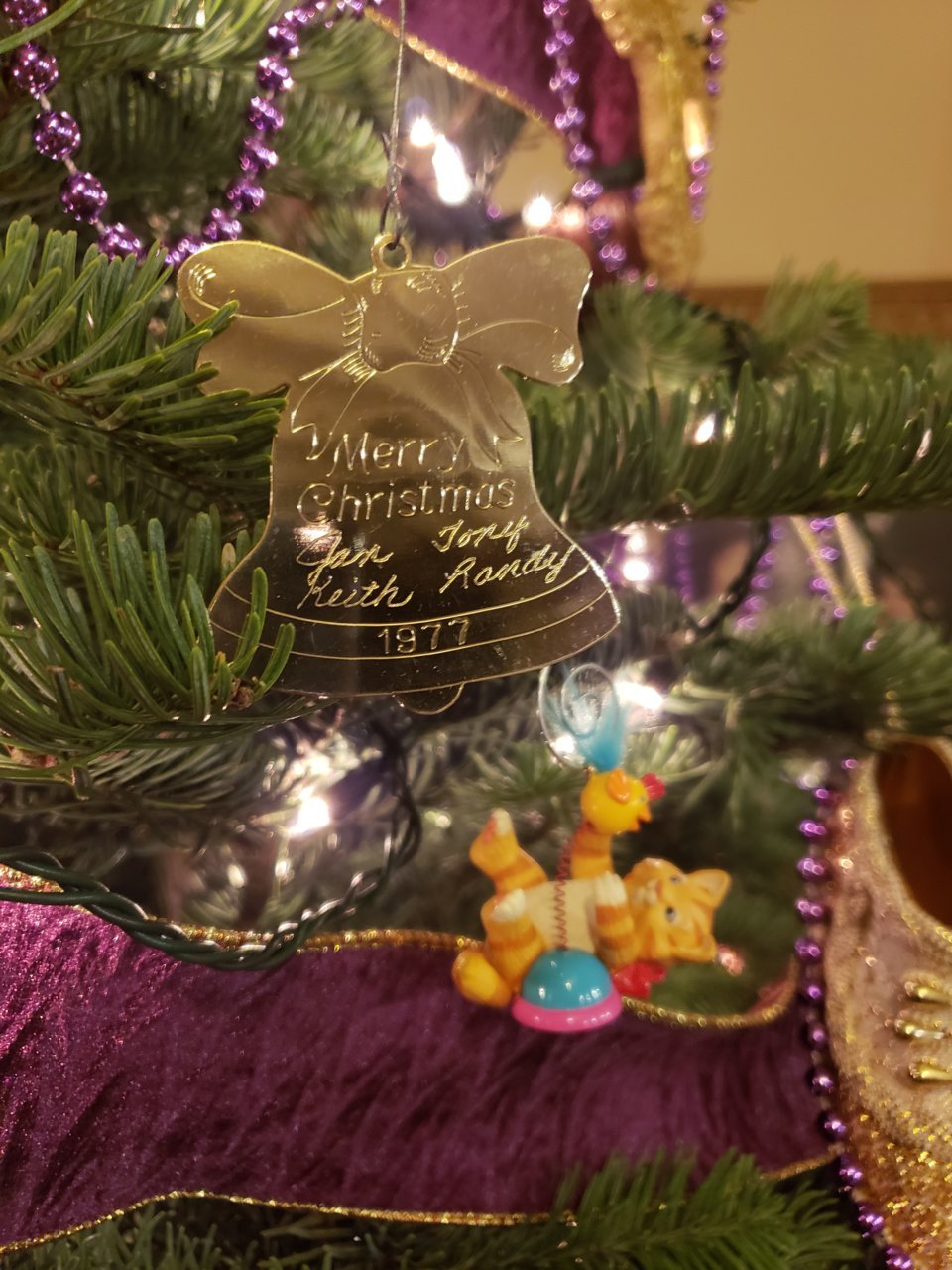 20181125_175944.jpg