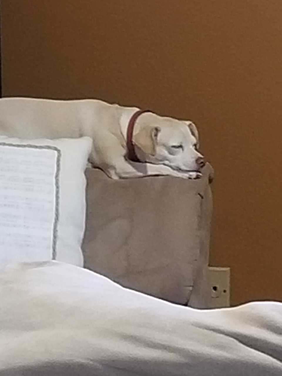 20181126_101731.jpg