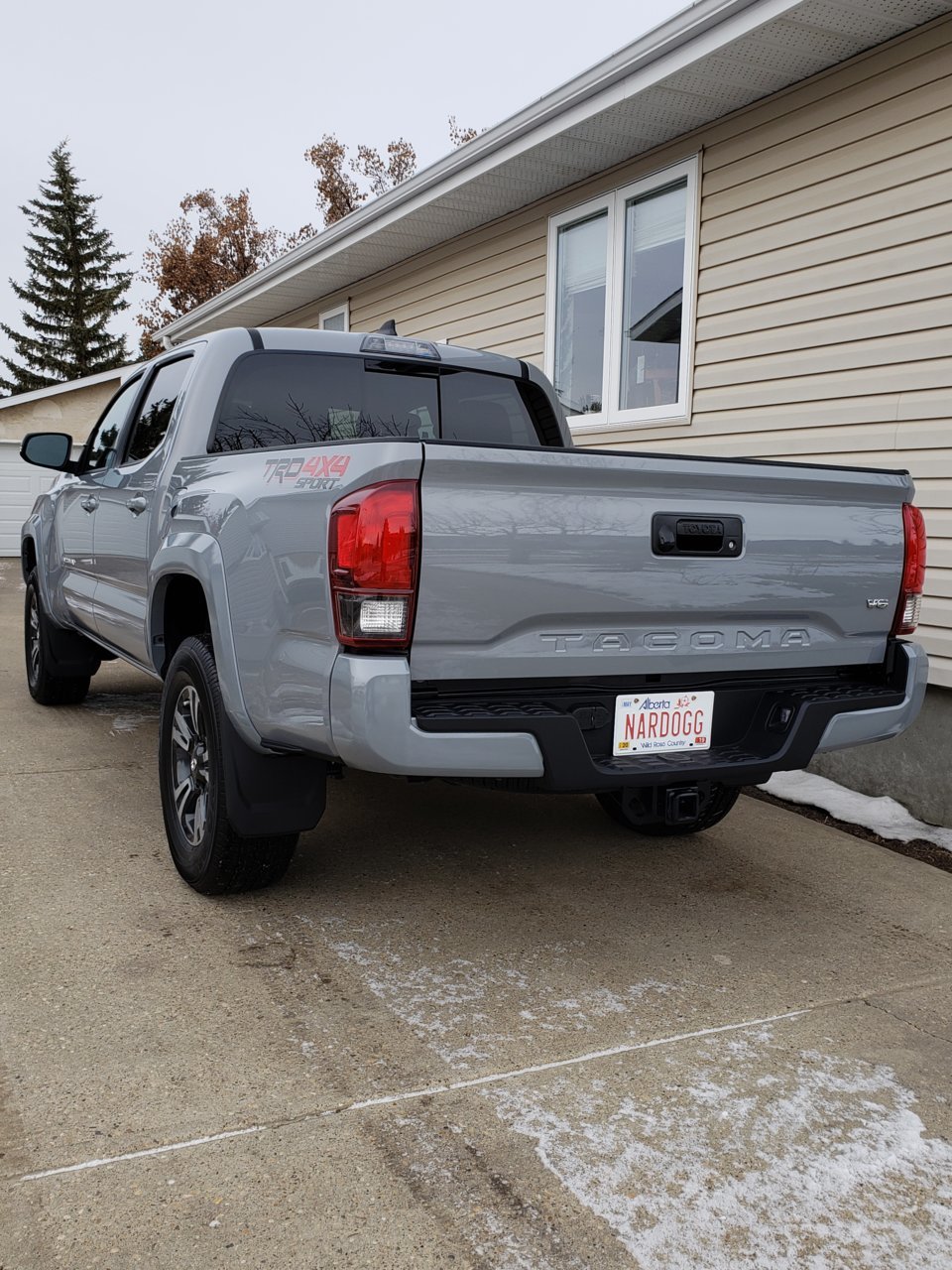 20181126_121030.jpg