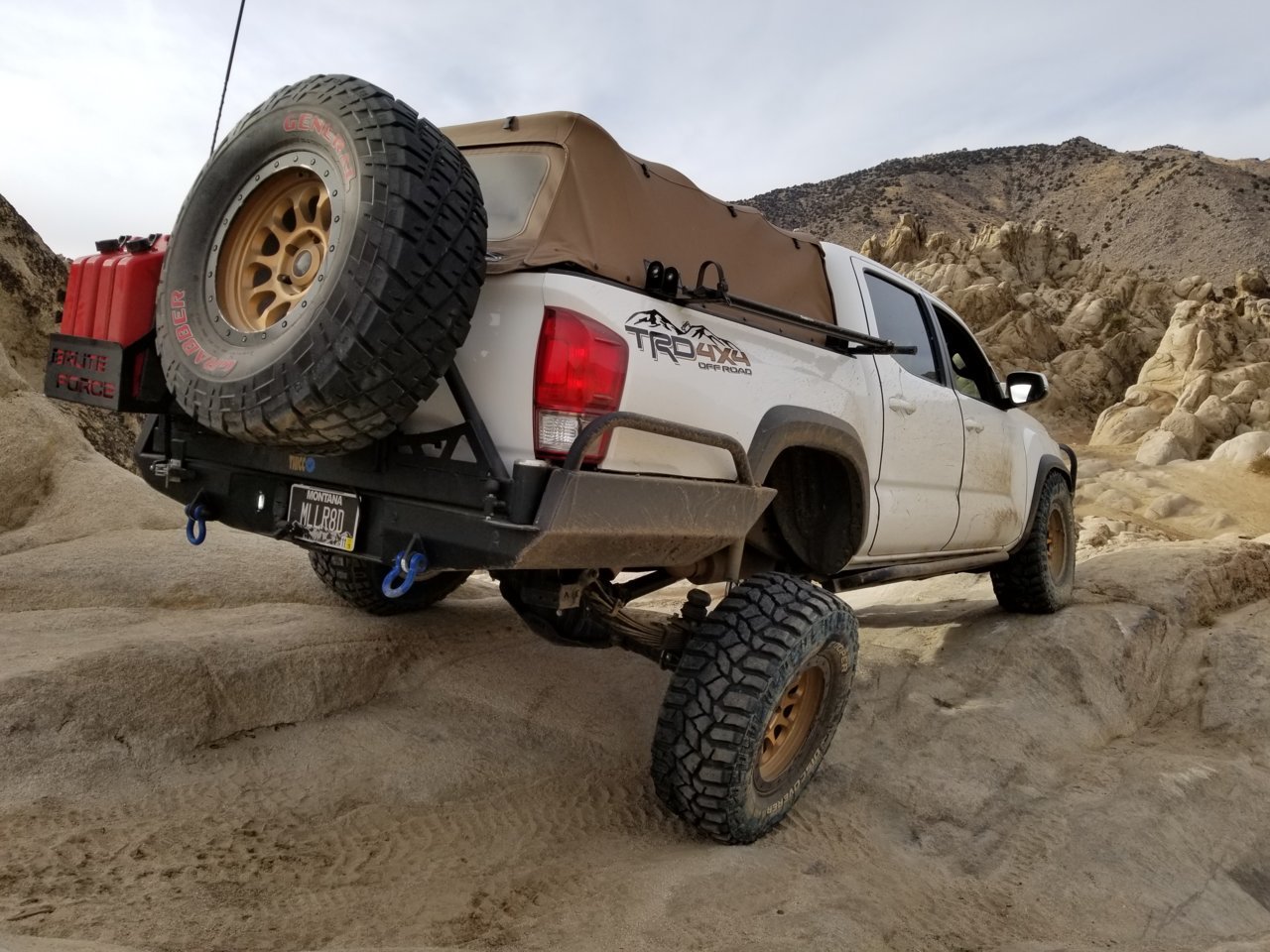 20181126_134528.jpg