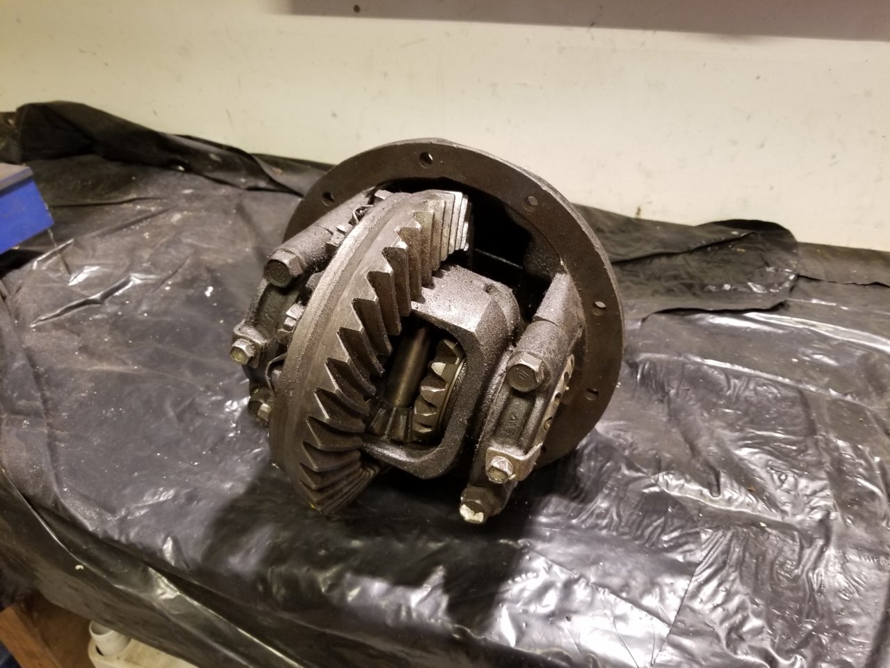20181127_181406.jpg