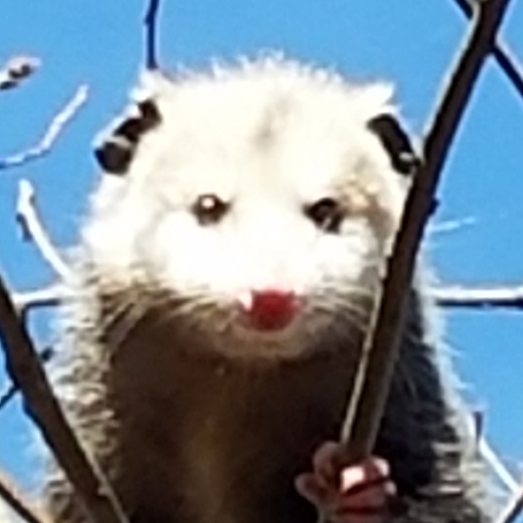 20181127_224627.jpg