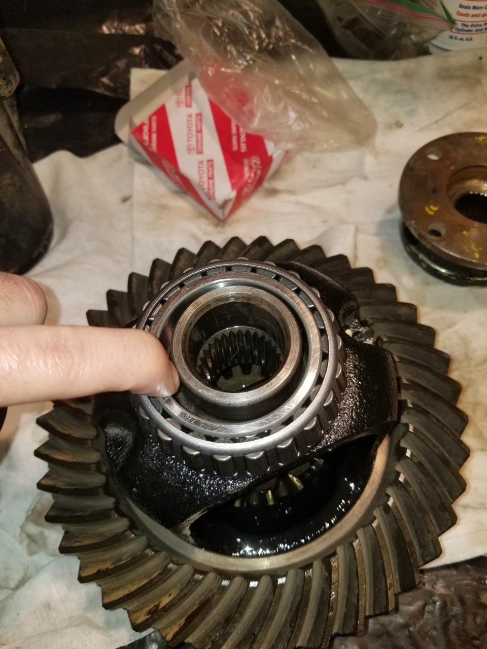 20181128_072226.jpg