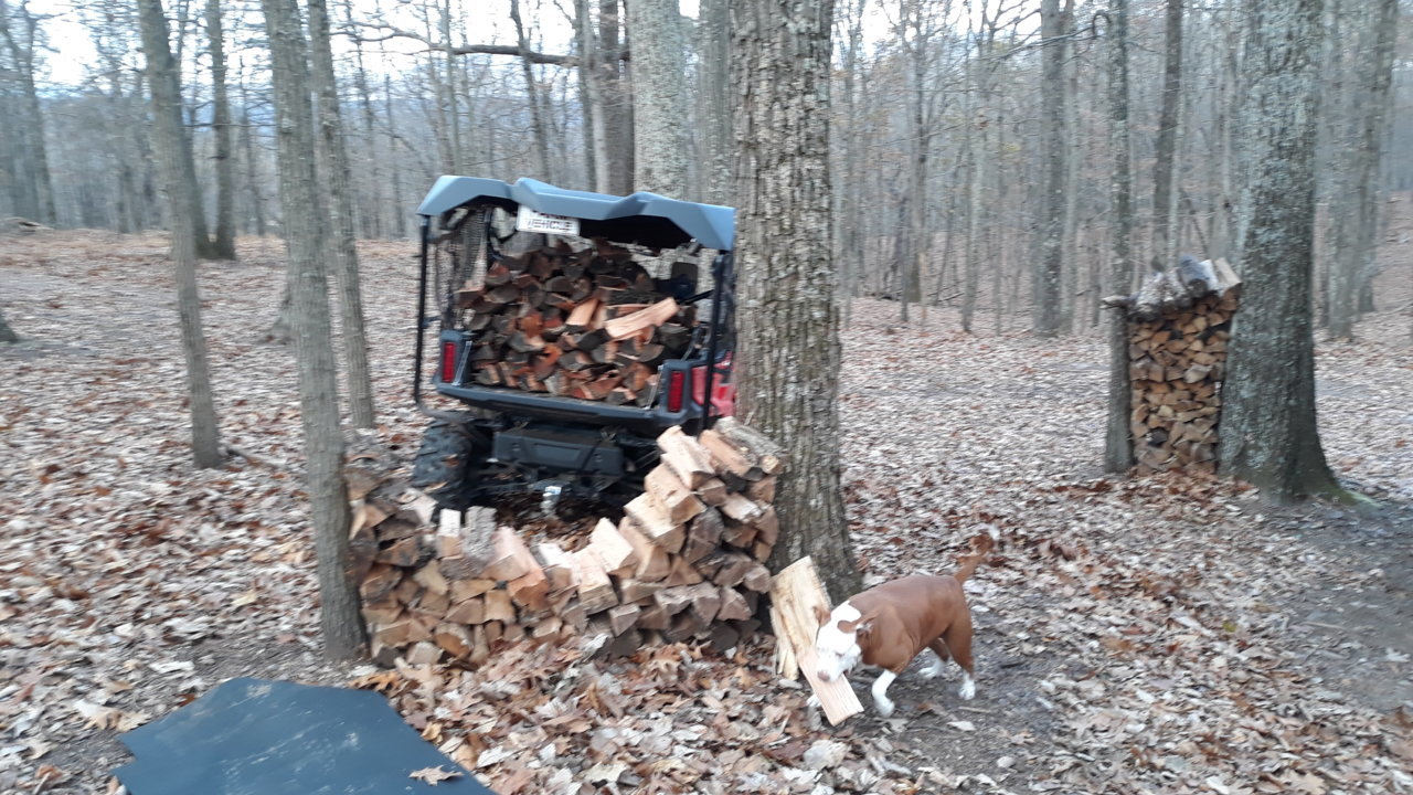 20181128_104026.jpg