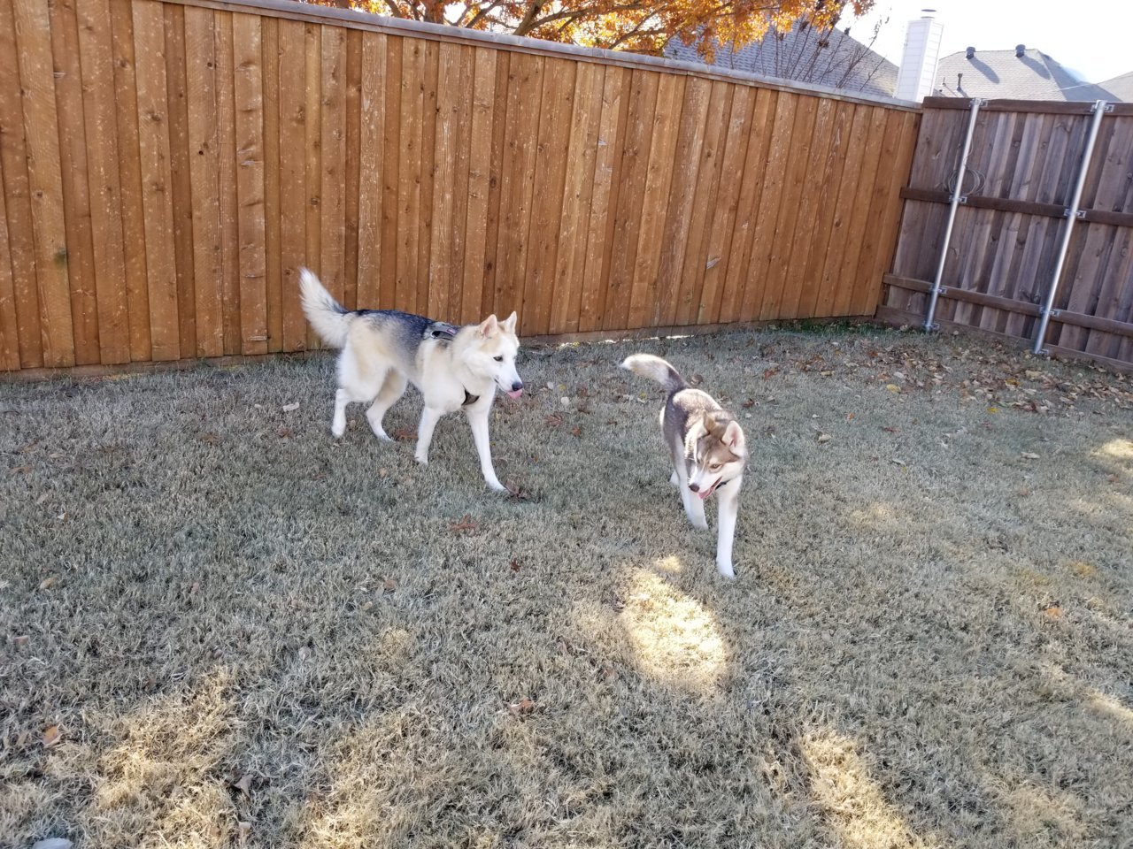 20181128_141808.jpg