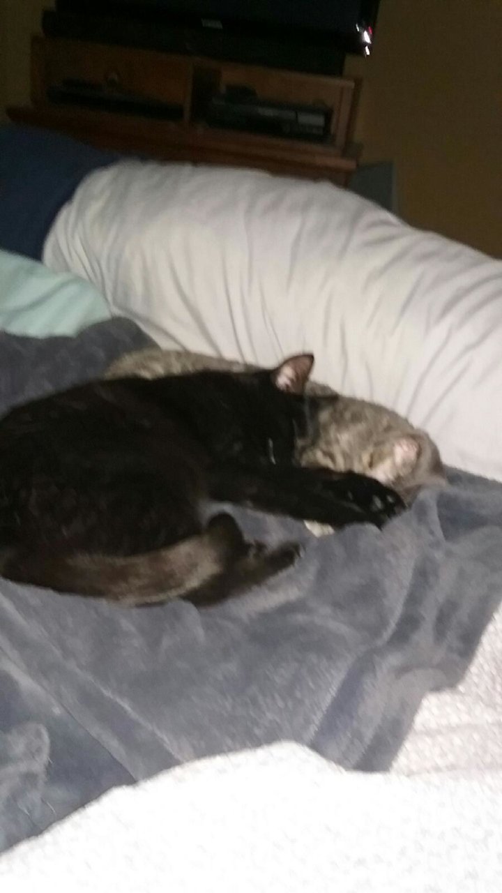 20181130_003620.jpg
