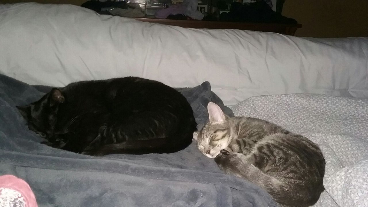 20181130_023349.jpg