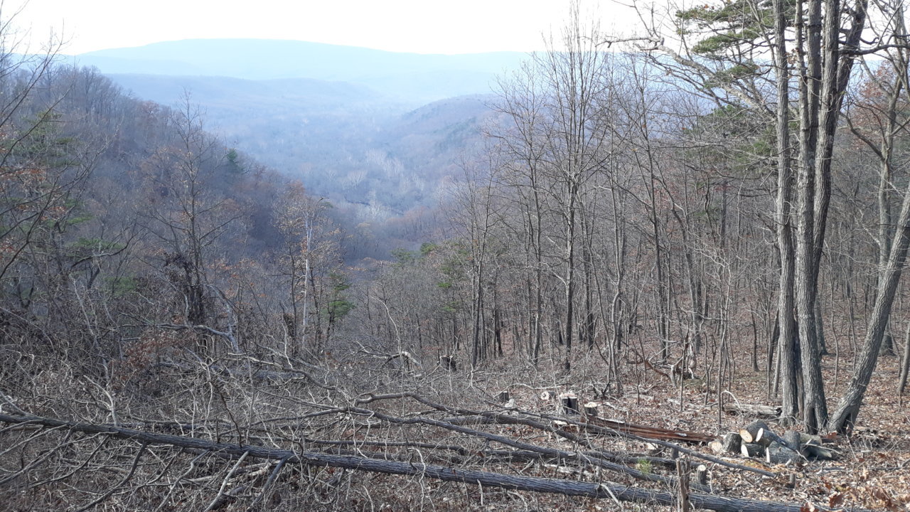 20181130_145036.jpg
